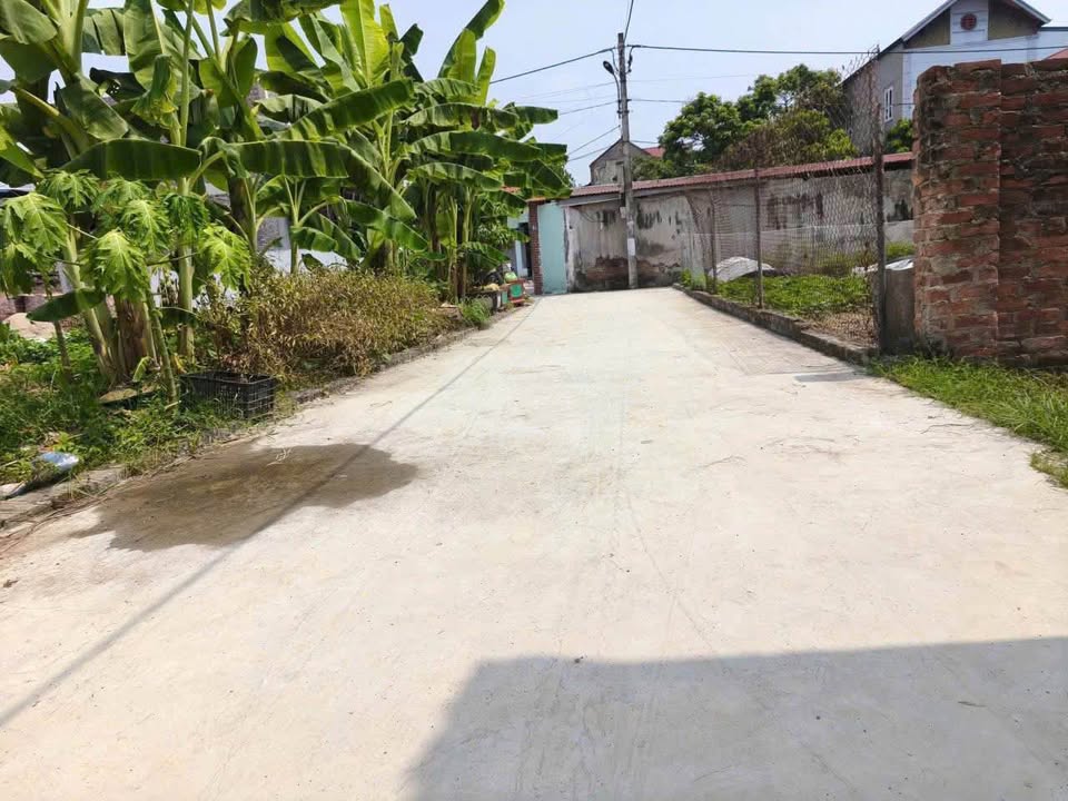 Đất nền Dược Hạ, Sóc Sơn 86,5m² giá 2 tỷ - Cơ hội đầu tư hiếm có!