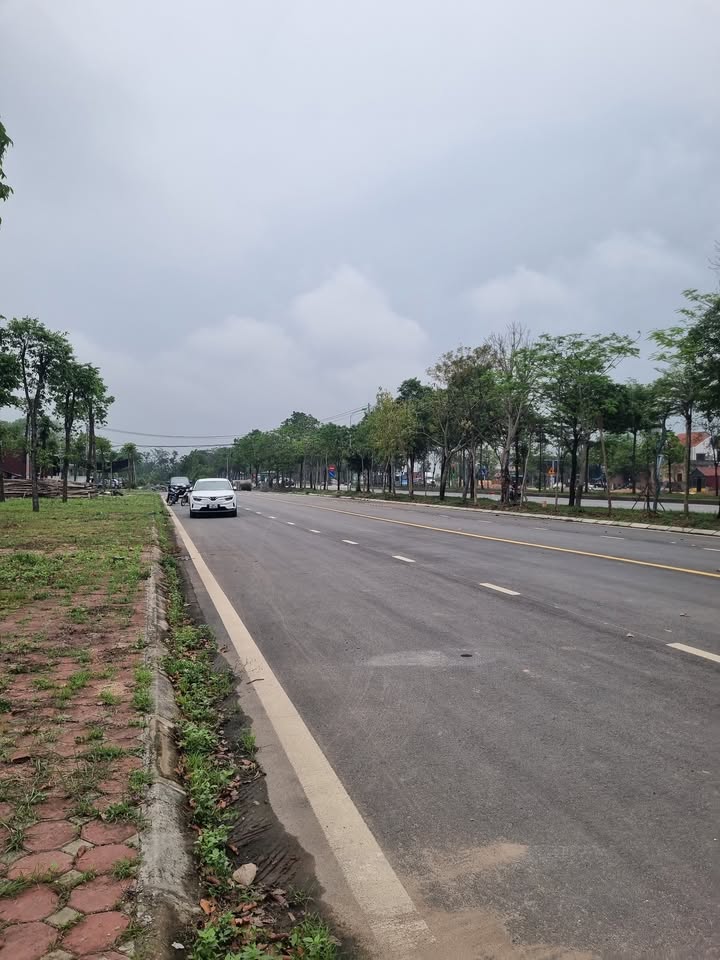 Đất mặt đường 100 - Mê Linh 113m² - Đầu tư sinh lời hấp dẫn!