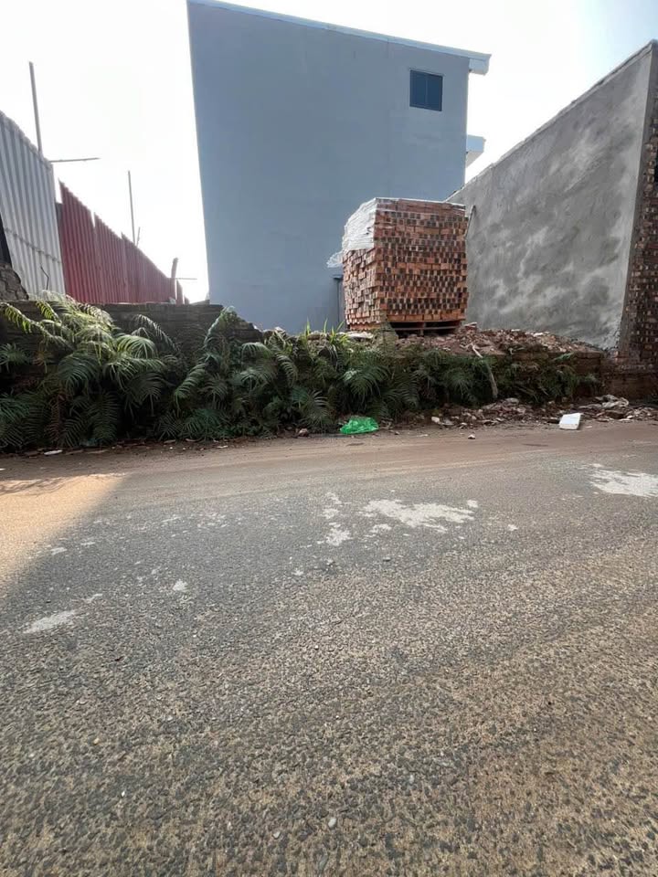 Đất nền thôn Thái Bình, Mai Lâm 80m² - Vị trí đắc địa gần cầu Tứ Liên!