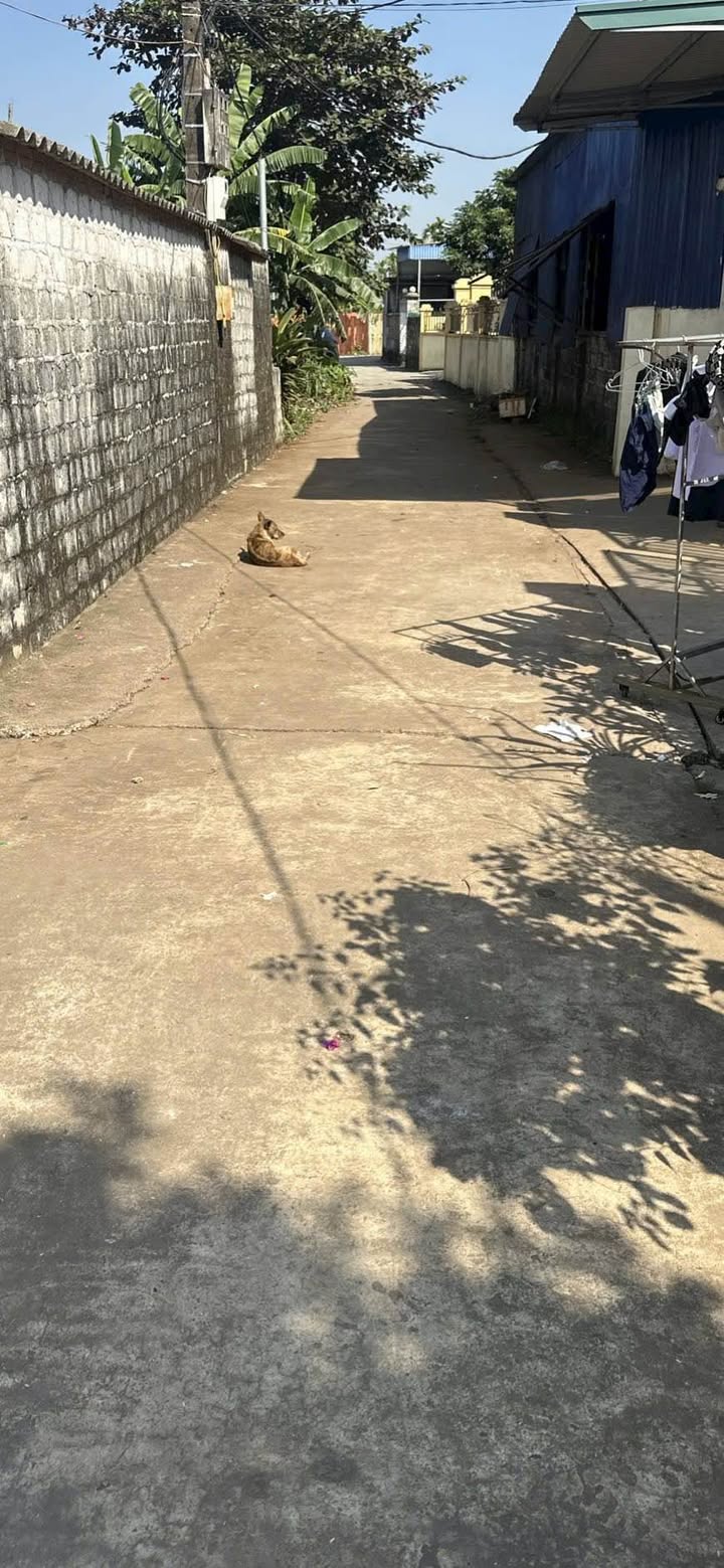 Đất nền thôn 8 Thiên Hương 60m² giá 600 triệu - Cơ hội đầu tư tuyệt vời!