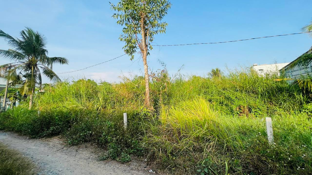 Đất biệt thự Thủ Đức 952m² giá thỏa thuận - Đường Long Phước, gần Vingrand Park!