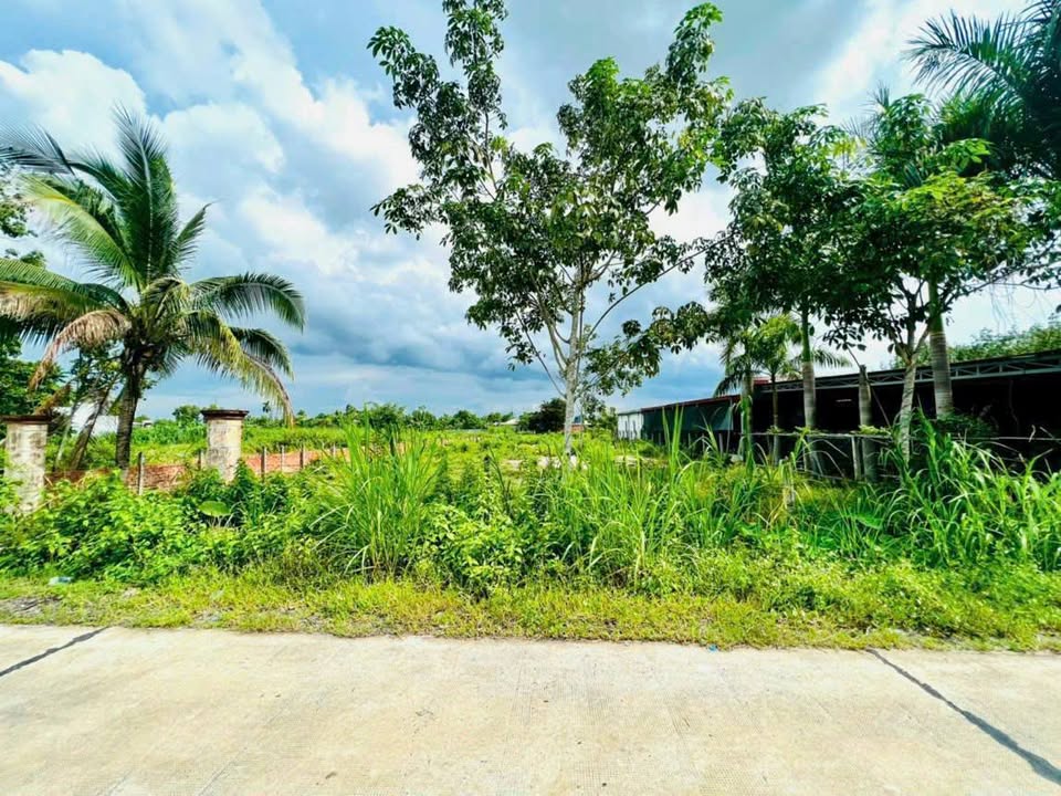 Đất nền Củ Chi 2052m² giá 7 tỷ - Đầu tư sinh lời ngay!