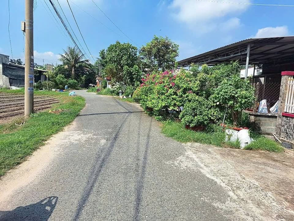 Đất nền xã Tân Thông Hội, Củ Chi 156m² giá 2.75 tỷ - Đầu tư sinh lời tuyệt vời!