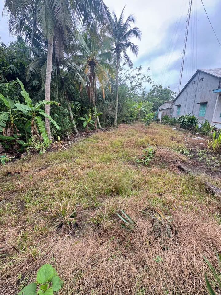 Đất nền Rạch Hàng Bần Cần Thơ 110m² giá 650 triệu - Sổ hồng riêng từng nền!