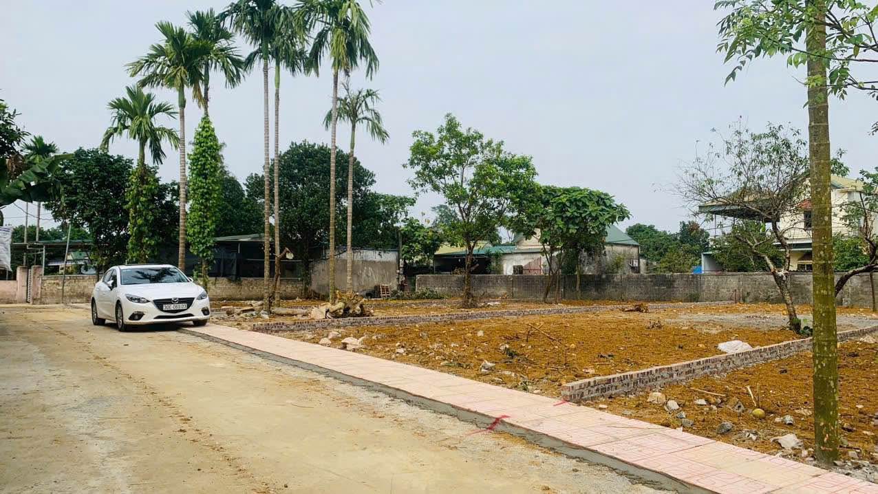 Đất nền Nhuận Trạch Lương Sơn 217m² - Tiềm năng đầu tư lớn!