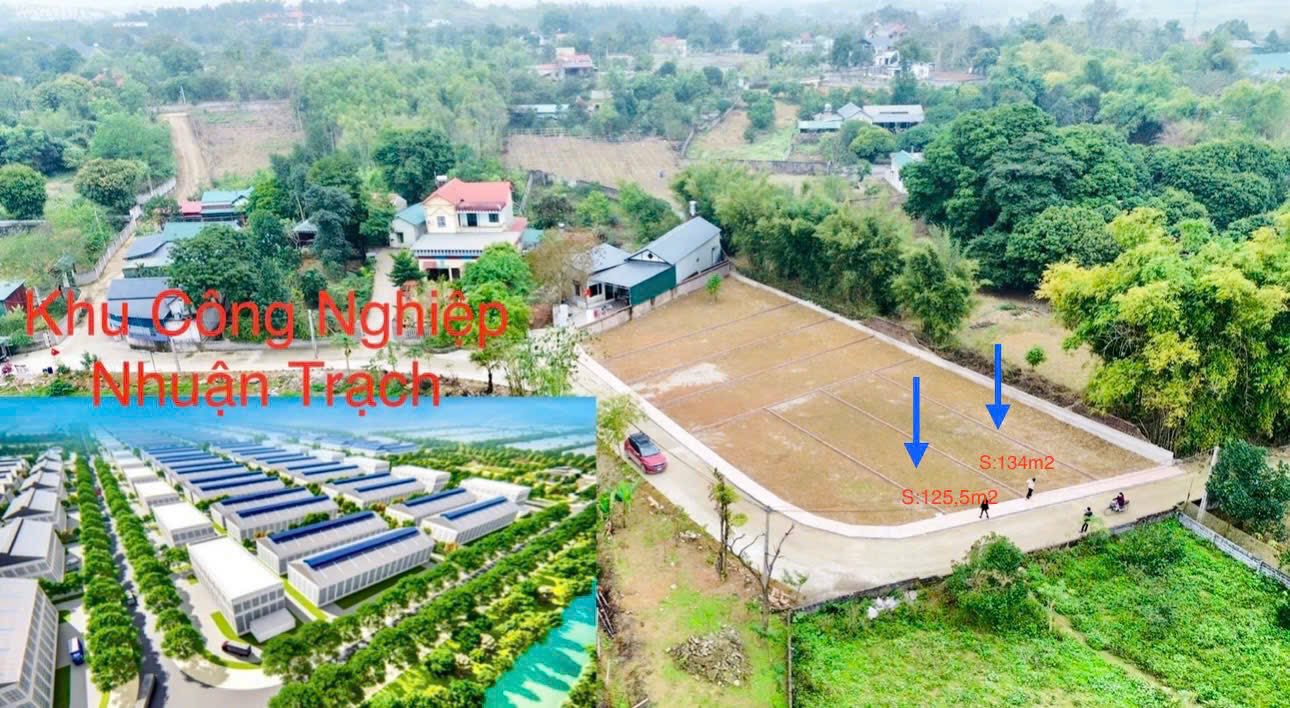 Đất Nền Nhuận Trạch 134m² chỉ 1 tỷ - Cơ hội đầu tư tuyệt vời!