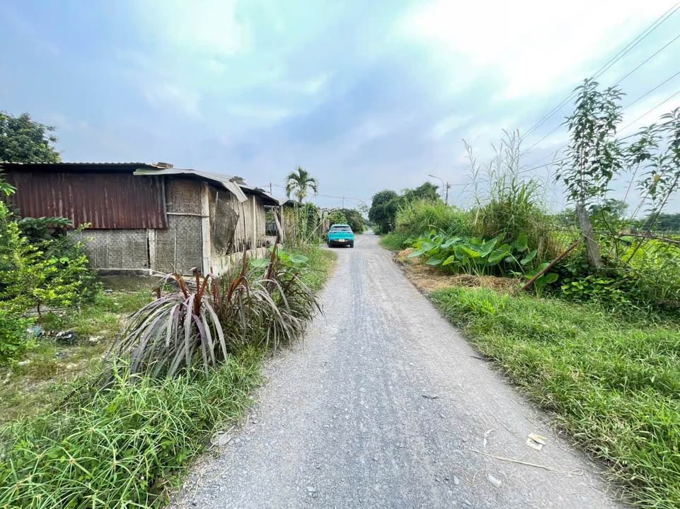 Đất thổ cư 300m² xã Tân Phú Trung, Củ Chi giá 4 tỷ - Mặt tiền đường ô tô