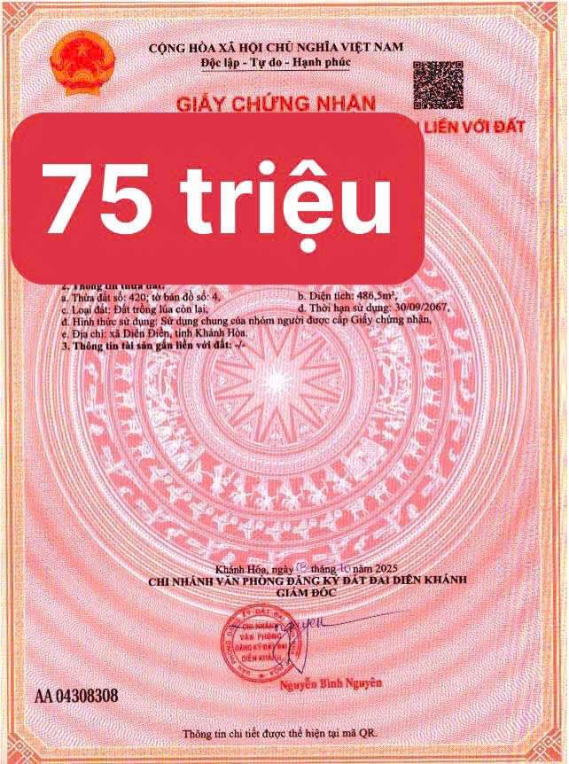 Đất Diên Điền 500m² giá 75 triệu - Sổ đỏ chính chủ, bán gấp!