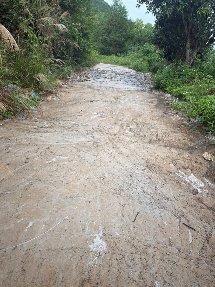 Lô đất Farm 4.3ha tại Suối Cát, Cam Lâm - Giá chỉ 2.7 tỷ - Cơ hội đầu tư tốt!