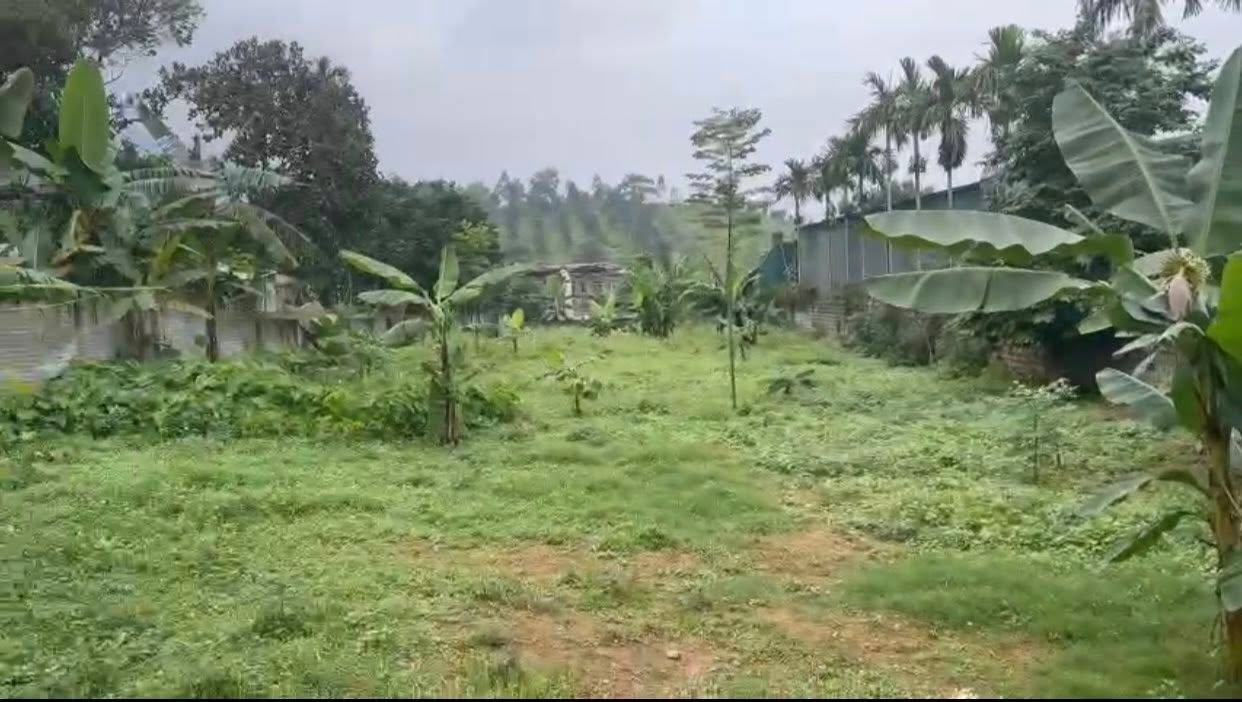 Đất nền thôn Cố Đụng, Yên Xuân 1130m² giá chỉ 10 triệu/m² - Cơ hội đầu tư tuyệt vời!