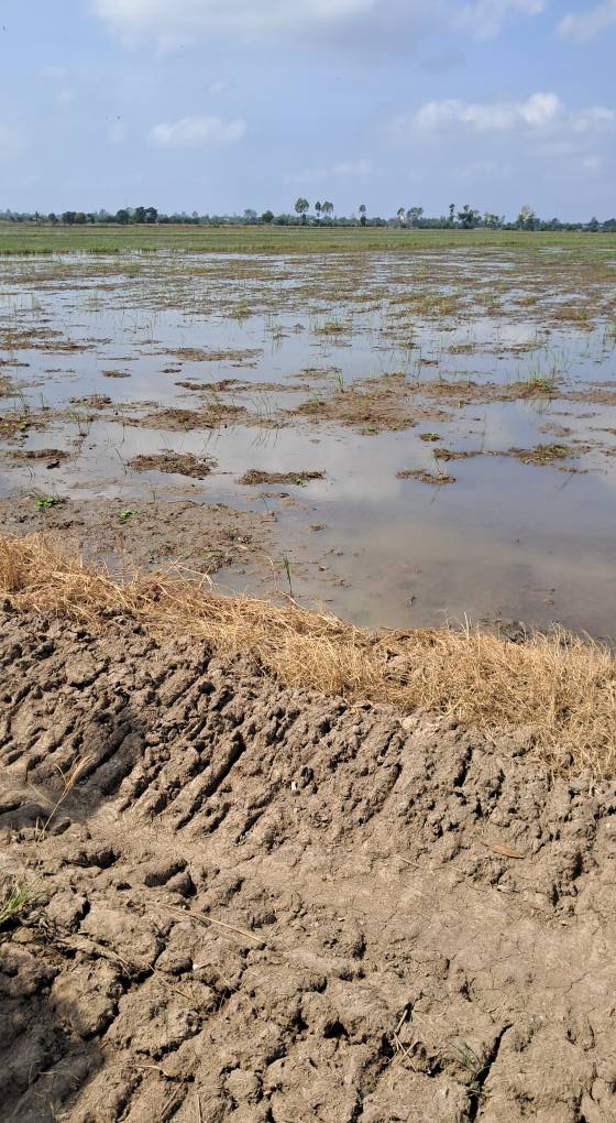 Đất 30 công Vọng Thê, Óc Eo, Thoại Sơn, An Giang - Giá chỉ 3.75 tỷ, cơ hội đầu tư lý tưởng!