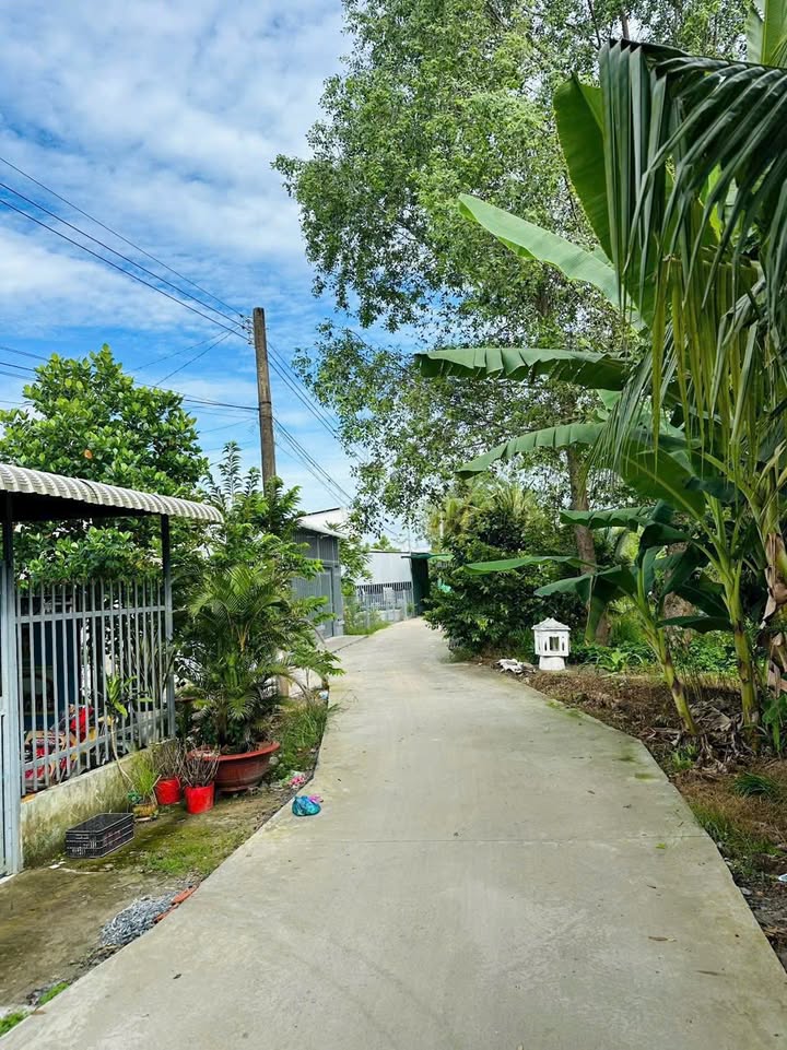 Nhà trệt cho thuê 450m² tại Nhơn Ái, Cần Thơ - Giá chỉ 3 triệu/tháng!