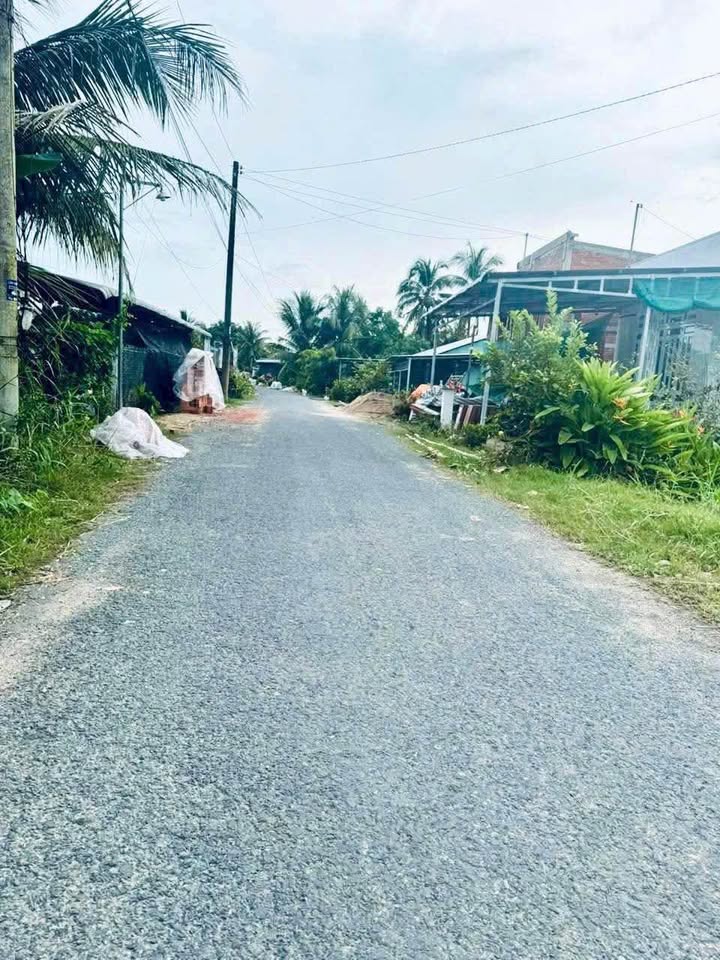 Đất ruộng mặt tiền lộ nhựa 30 công tại Bình Tân Vĩnh Long - Giá chỉ 9.75 tỷ