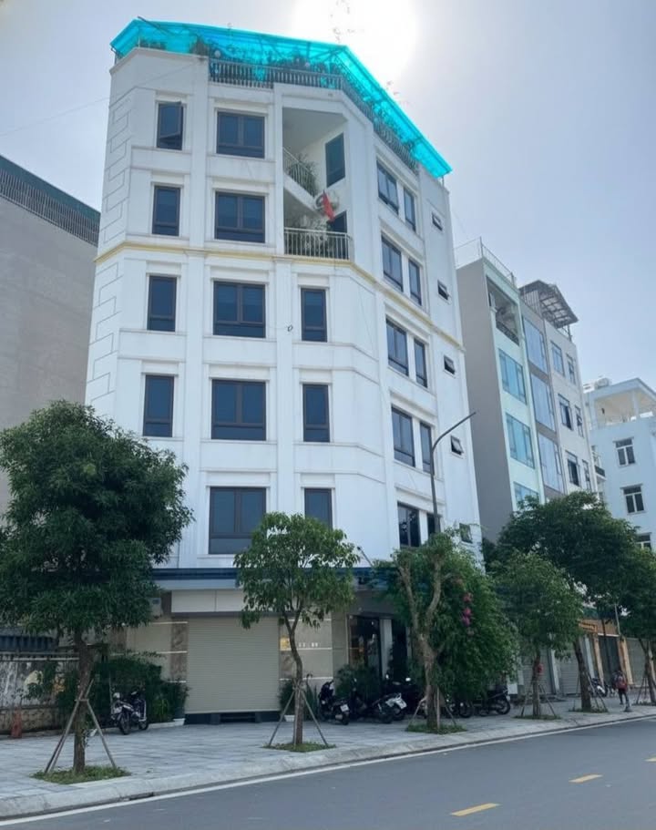 Đất phân lô Dương Nội 50m² giá 11 tỷ - Lô góc tiện kinh doanh!