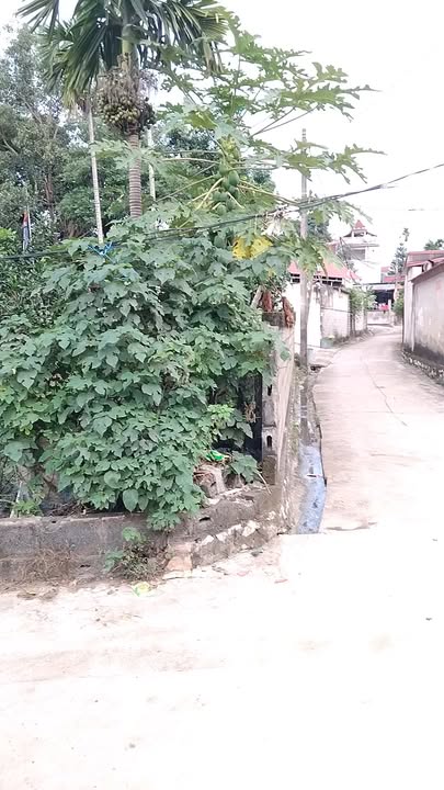 Đất nền lô góc mặt tiền 6m tại Xuân Mai, Chương Mỹ - Chỉ 3 tỷ VND!