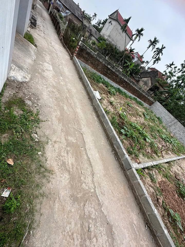 Đất nền Quang Lãng, Phú Xuyên 80m² giá thỏa thuận - Đón Tài Lộc ngay hôm nay!