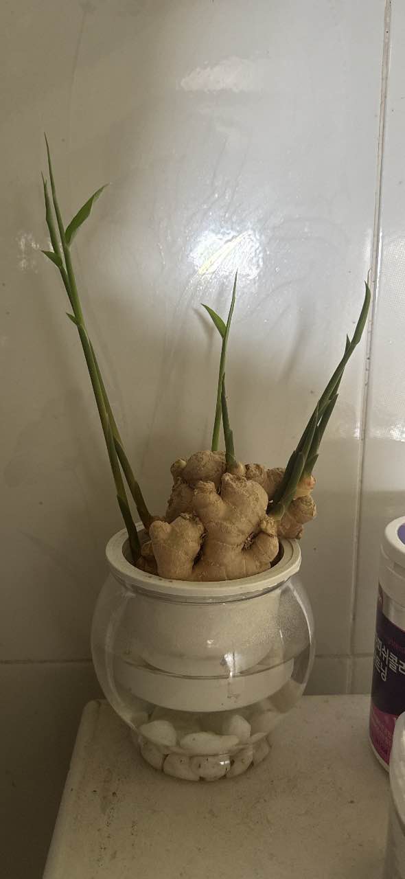 Căn hộ Chung cư Quảng Thắng River Thanh Hóa 67.5m² giá 1.45 tỷ - View sông thoáng mát!