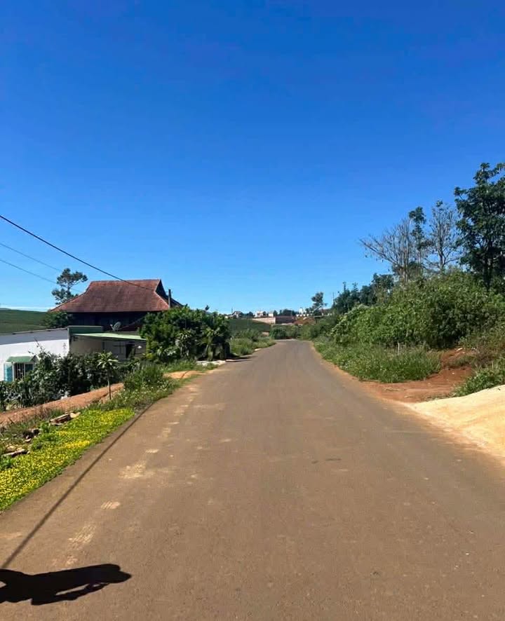 Đất nền Di Linh 185m² giá 1.15 tỷ - Mặt tiền đường nhựa Lê Lai