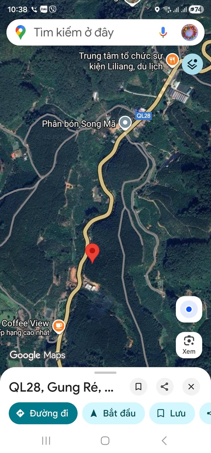 Đất trồng cafe 45000m² tại Di Linh - Mặt tiền Quốc lộ 28, giá chỉ 2.6 tỷ!