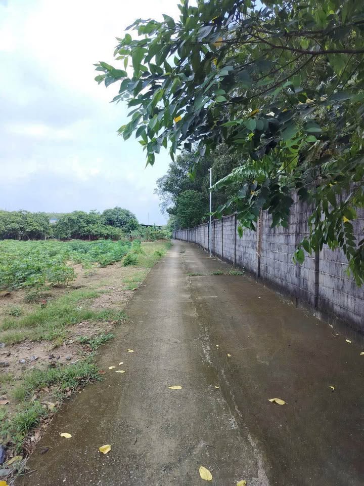 Đất nền Tân Thành, Phú Mỹ 507m² giá 1.3 tỷ - Cơ hội đầu tư tuyệt vời!