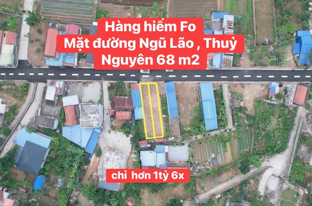 Đất nền đường Ngũ Lão, Thủy Nguyên 68m² giá 1.6 tỷ - Sổ đỏ chính chủ sang tên ngay!