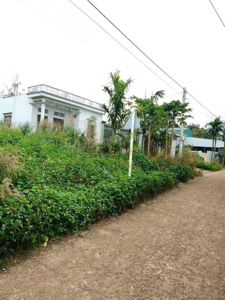 Đất thổ cư 450m² tại Thôn 9 Pơng Drang giá 1.95 tỷ - Cơ hội đầu tư hấp dẫn!