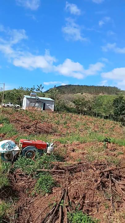 Farm 1,7ha tại Đắk Long, Đắk Hà - Bán gấp 1 tỷ kèm nhà cấp 4