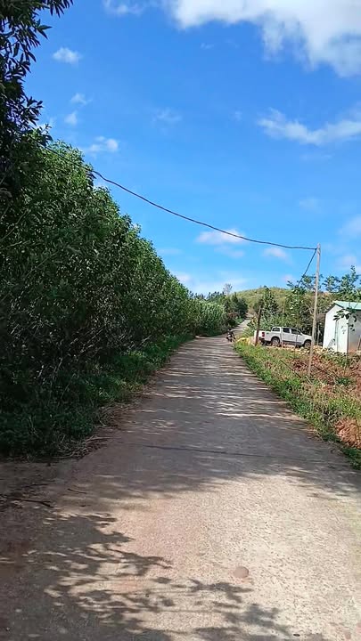 Farm Đắk Long Đắk Hà 1,4ha giá 1 tỷ - Bán gấp tặng nhà và 2200 cây cà phê