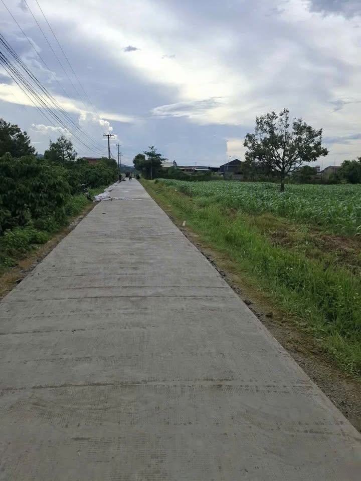 Đất nền Cư Yang, Ea Kar 5000m² giá 700 triệu - Đầu tư sinh lời ngay!