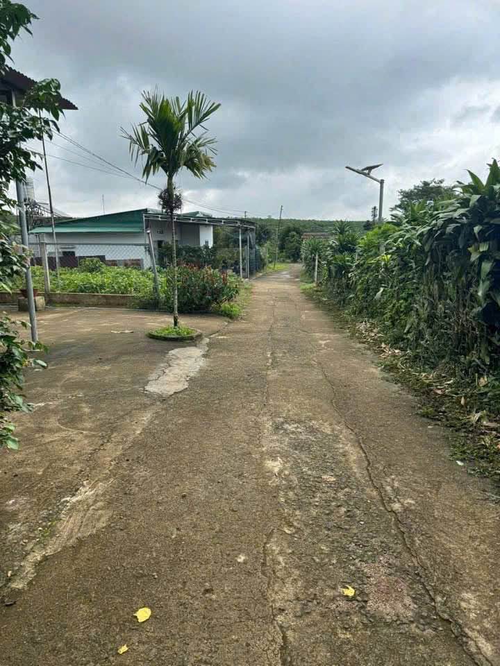 Đất nền 1000m² Hẻm 1086 Nguyễn Văn Cừ, Bảo Lộc chỉ 1.45 tỷ - Cơ hội đầu tư tuyệt vời!