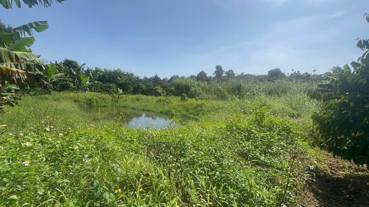 Đất nền 1009m² Bảo Lâm, Lâm Đồng giá 2 tỷ - Thích hợp nghỉ dưỡng