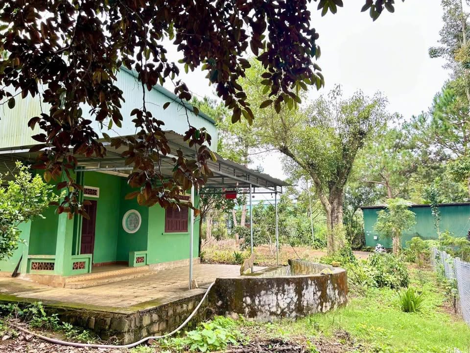 Nhà cho thuê Hẻm 297 Phan Đình Phùng, Bảo Lộc - Diện tích 640m² chỉ 2 triệu/tháng!