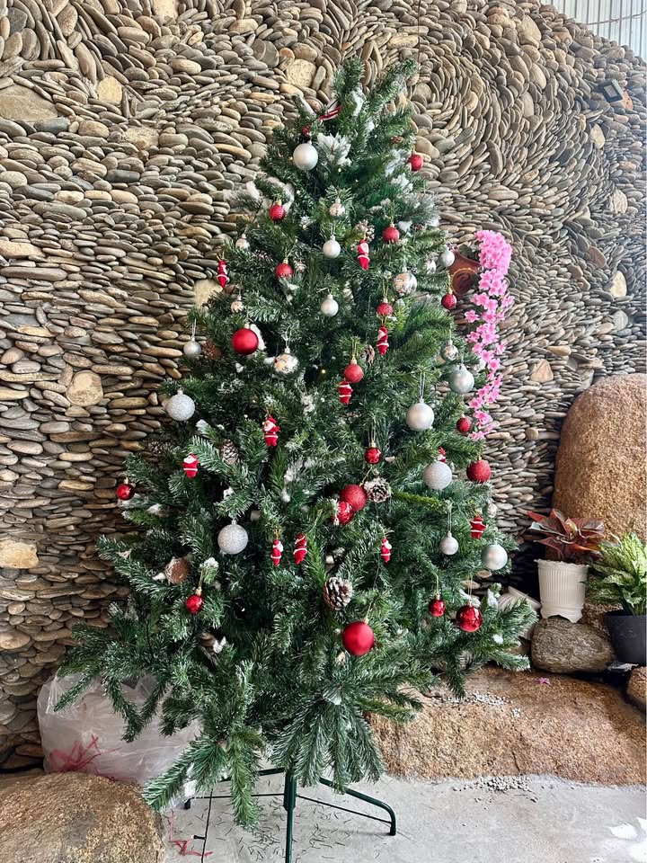 Bán đất thổ cư 110,1m² tại An Nhơn, Bình Định - Sổ hồng chính chủ, giá 450 triệu