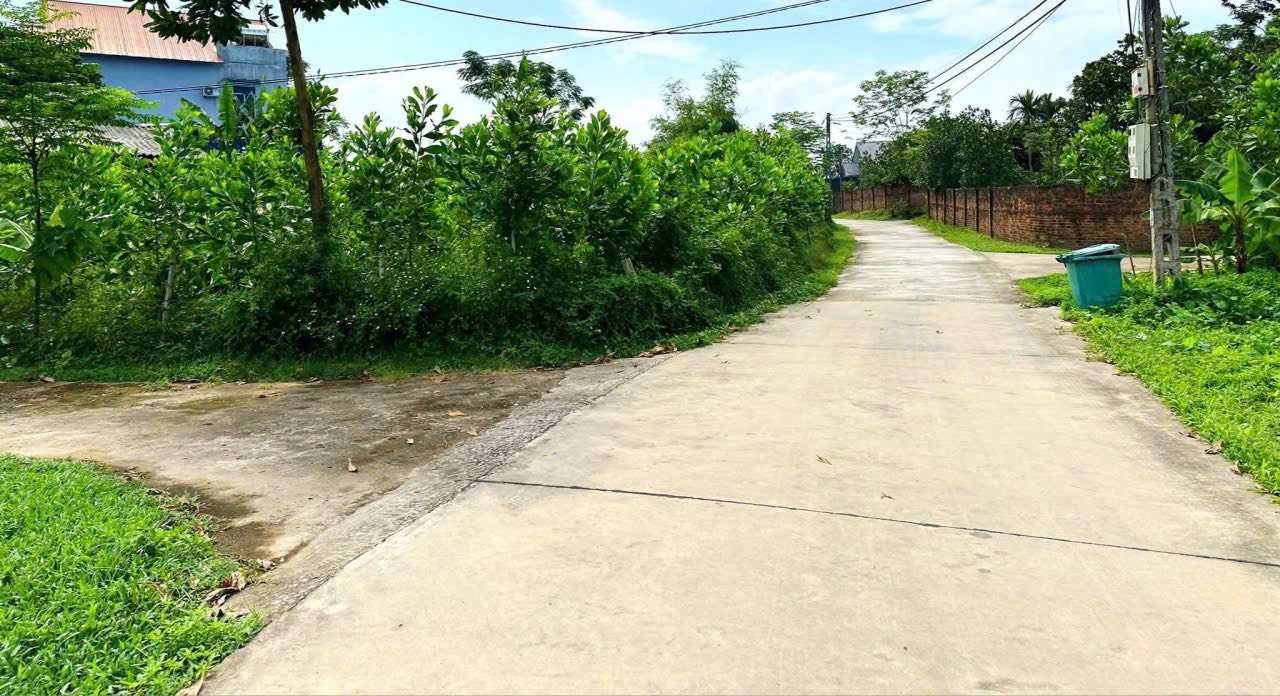 Đất nền Đắc Sơn Phổ Yên 325m² giá chỉ 9xx triệu - Đầu tư sinh lời ngay!