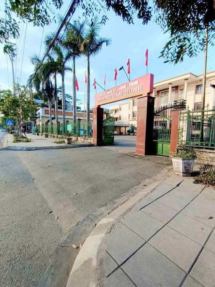 Đất nền Cẩm Thịnh 83m² giá chỉ 1 tỷ - Cơ hội đầu tư hấp dẫn!