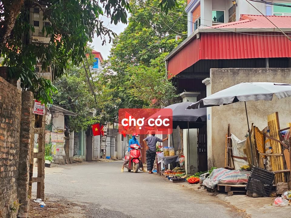 Đất phố Đồng Tum - Liên Bảo, Vĩnh Yên 98m² giá chỉ 2 tỷ - Đầu tư sinh lời ngay!