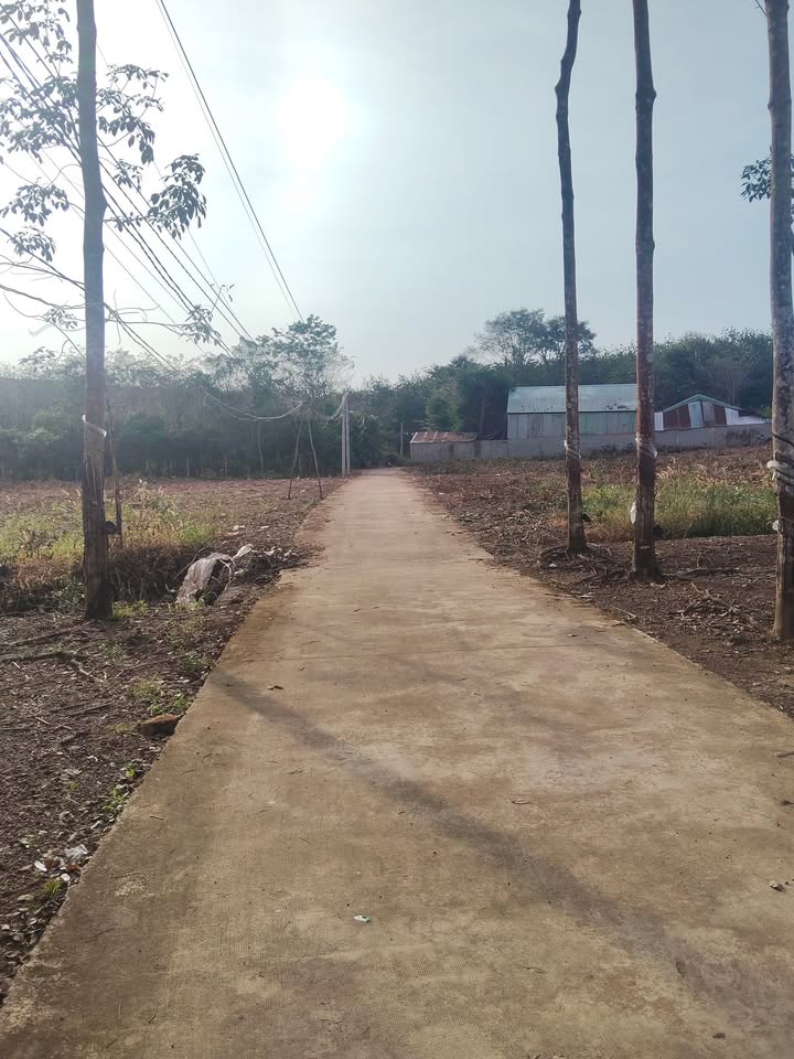 Đất nền Tiến Thành, Đồng Xoài 270m² giá chỉ 600 triệu - Cơ hội đầu tư tuyệt vời!