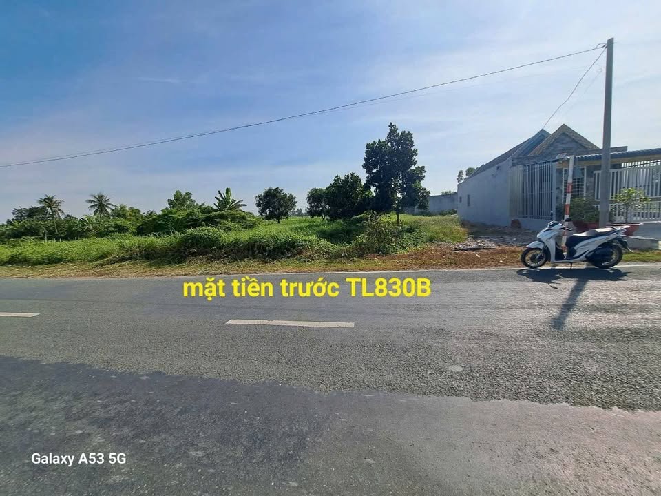 Đất thổ cư 4500m² mặt tiền TL830B - Cần Đước, Long An chỉ 31.5 tỷ!