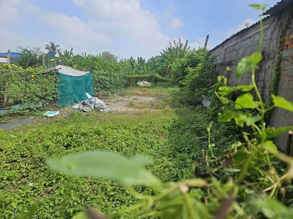 Đất hẻm Nguyễn Quang Đại, phường 5, Tân An 167m² giá 1.1 tỷ - Cơ hội đầu tư không thể bỏ qua!