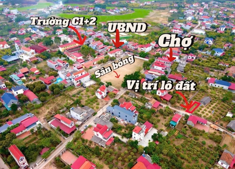 Đất nền Đồi Ngô Lục Nam 110m² - Đường rộng thông thoáng, gần tiện ích đầy đủ!