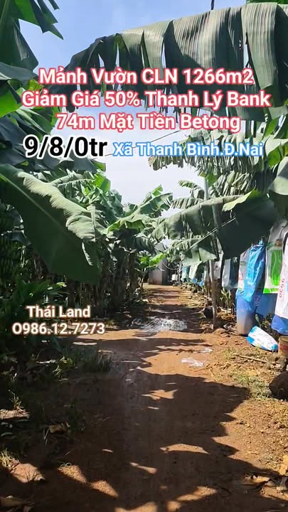 Đất nền Bàu Hàm Trảng Bom 1266m² chỉ 980 triệu - Cơ hội đầu tư hấp dẫn!