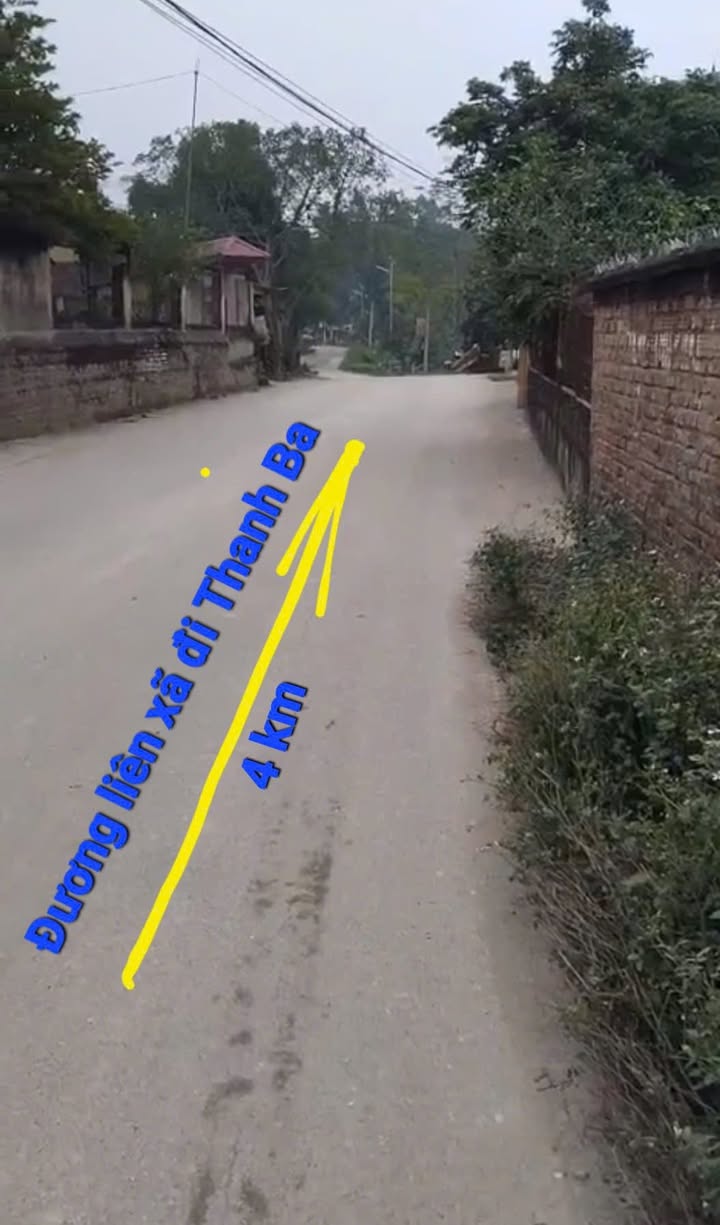 Đất Yển Khê Thanh Ba 823m² giá chỉ 800 triệu - Cơ hội đầu tư tuyệt vời!