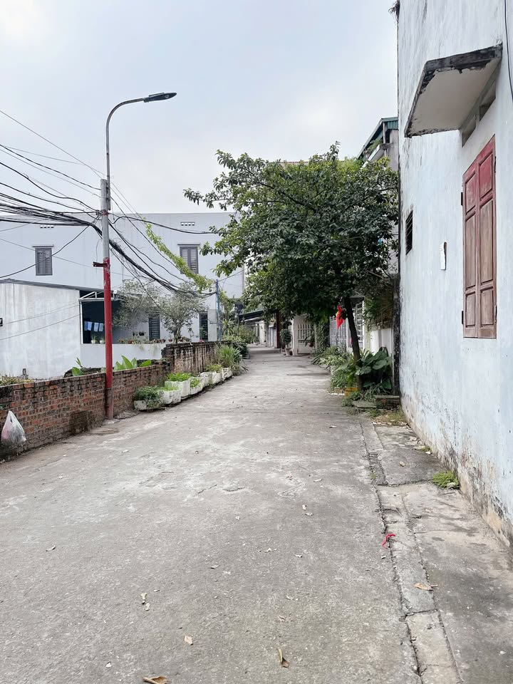 Đất nền tại ngõ 146 đường Hàm Nghi, Gia Cẩm, 80m² - Vị trí trung tâm, giá tốt!