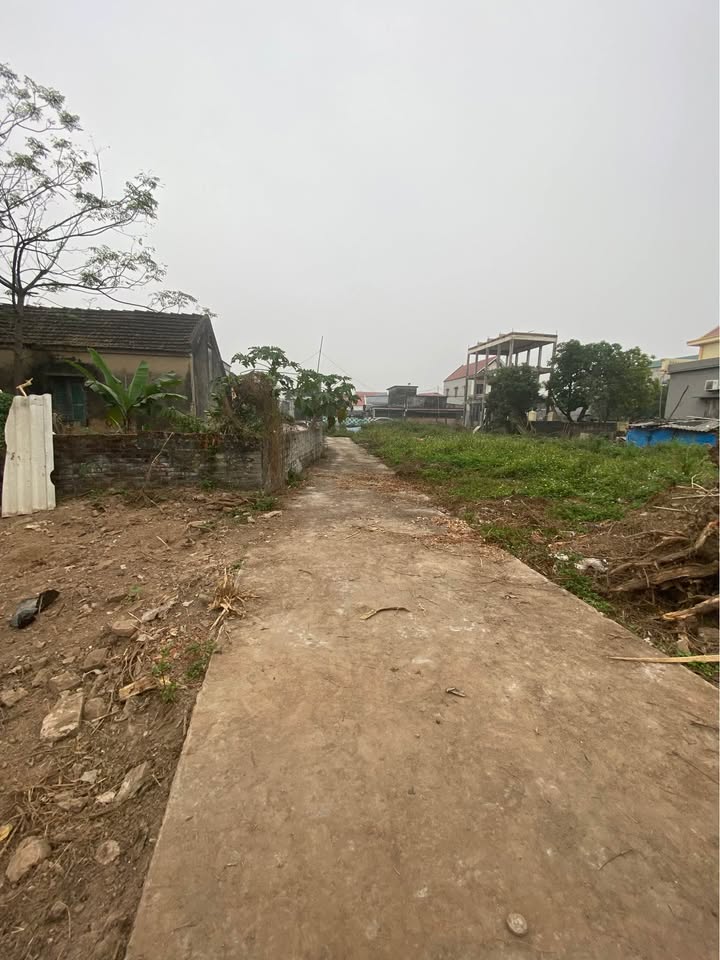 Đất nền Ninh Phúc 100m² giá chỉ 2 tỷ - Mặt tiền 4m, đường ô tô rộng rãi!