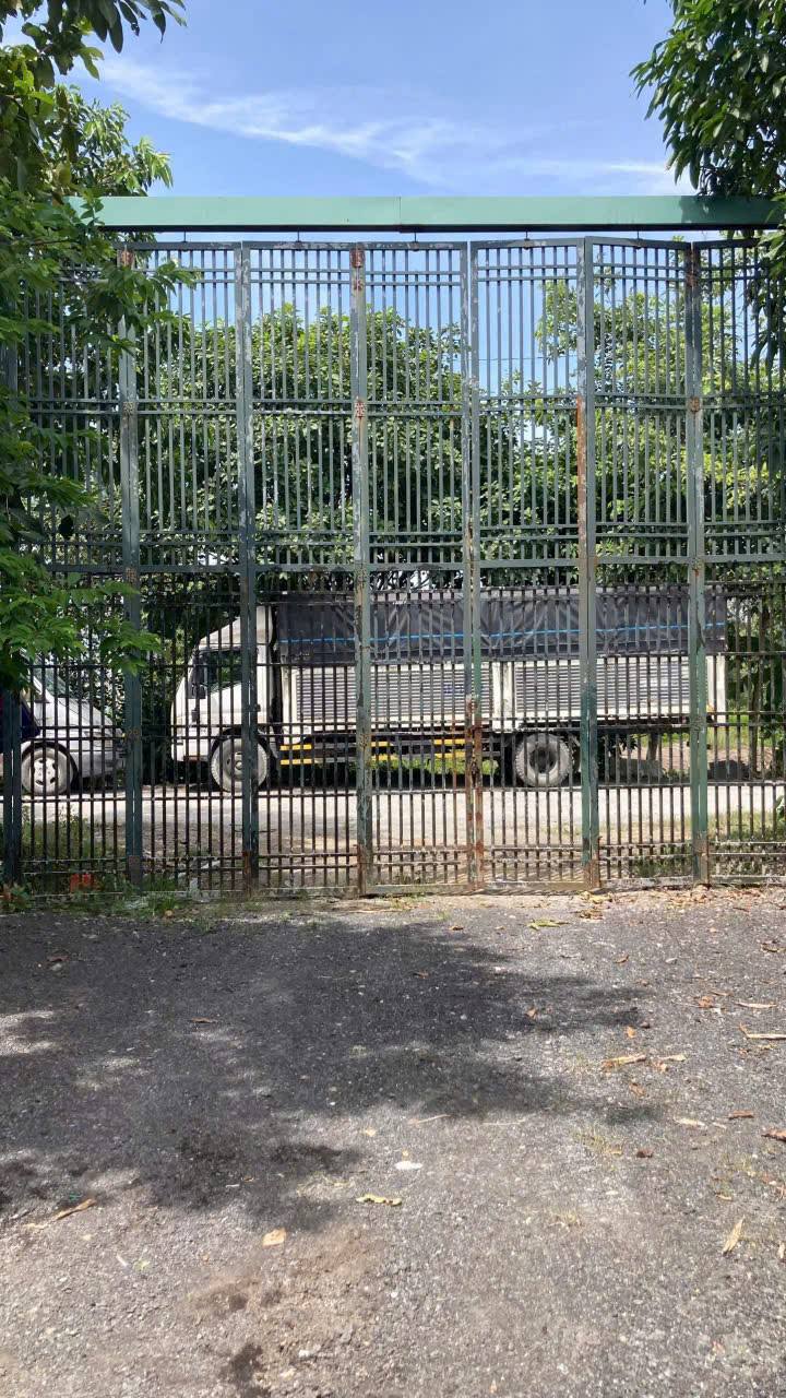 Đất mặt tiền Xuân Thới Sơn 1500m² giá 15 tỷ - Cơ hội đầu tư sinh lời!