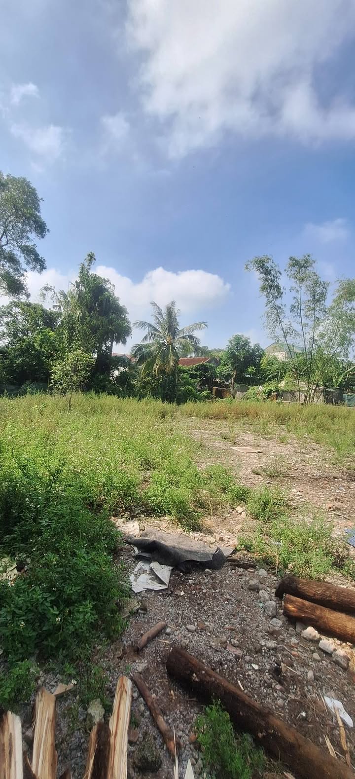 Đất nền Quảng Đức 864m² giá 3.3 tỷ - Đầu tư sinh lời tuyệt vời!