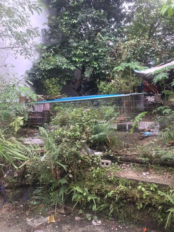 Đất nền 73,5m² phường Đông Hương - Giá chỉ 1 tỷ, vị trí đắc địa gần công viên nước!