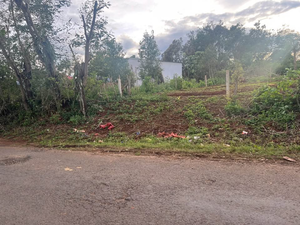 Đất mặt tiền Bùi Viện An Phú 50m² giá 840 triệu - Đầu tư sinh lời ngay!