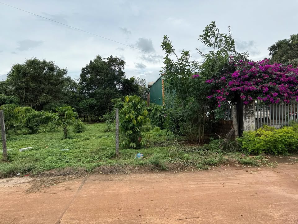 Đất nền Biển Hồ – Pleiku 165m² giá 300 triệu - Đầu tư sinh lời ngay!