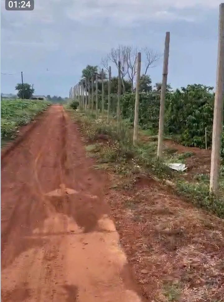 Đất nền đẹp tại An Phú, Pleiku 1225m² giá chỉ 900 triệu - Đường ô tô vào tận nơi!